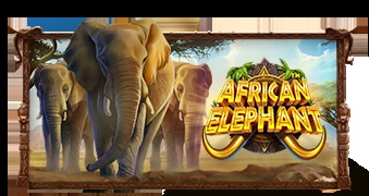 Обложка слота African Elephant