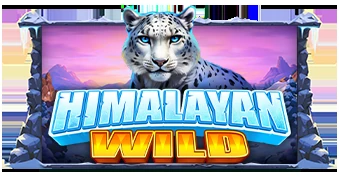 Обложка слота Himalayan Wild